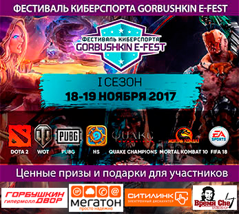 Фестиваль киберспорта GORBUSHKIN E-FEST - I сезон